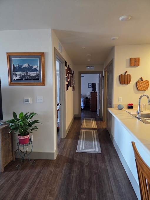 A kitchen with a plant on a cart and a picture of a mountain above the plant.